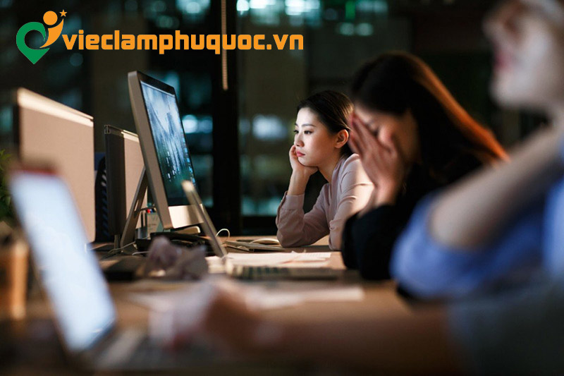 Kỳ vọng c&ocirc;ng việc nh&agrave;n hạ