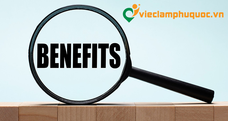 Lợi ích của việc gia nhập ngành hàng hải hàng không tại Phú Quốc