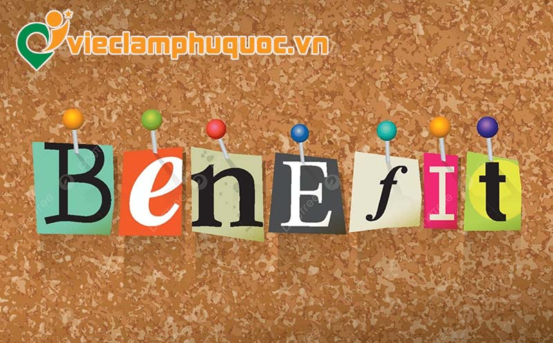 Lợi ích hấp dẫn khi gia nhập ngành IT tại Phú Quốc