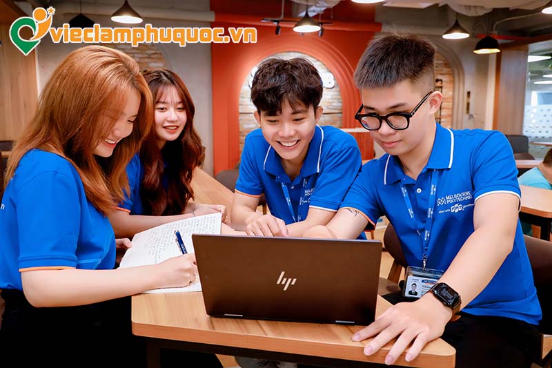 Ngành IT tại Phú Quốc có yêu cầu gì?