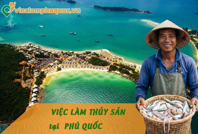 Nhu cầu tuyển dụng việc làm thủy sản Phú Quốc hiện nay