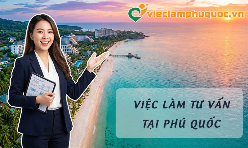 Thực trạng nhu cầu việc tuyển dụng việc làm tư vấn Phú Quốc
