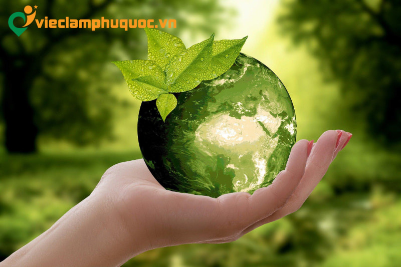 Các vị trí việc làm môi trường phổ biến tại Phú Quốc