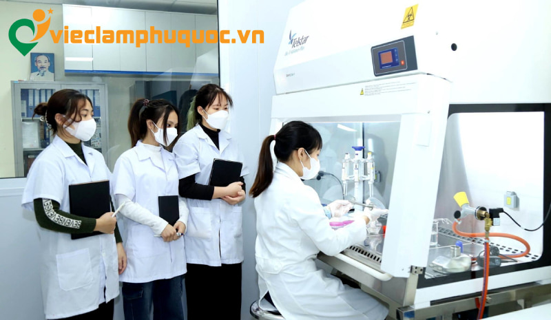 Ngành công nghệ thực phẩm Phú Quốc thu hút nhiều lao động