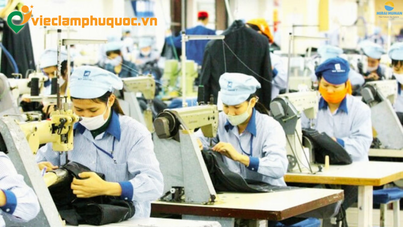 Kinh nghiệm tăng cơ hội trúng tuyển ngành may mặc tại Phú Quốc