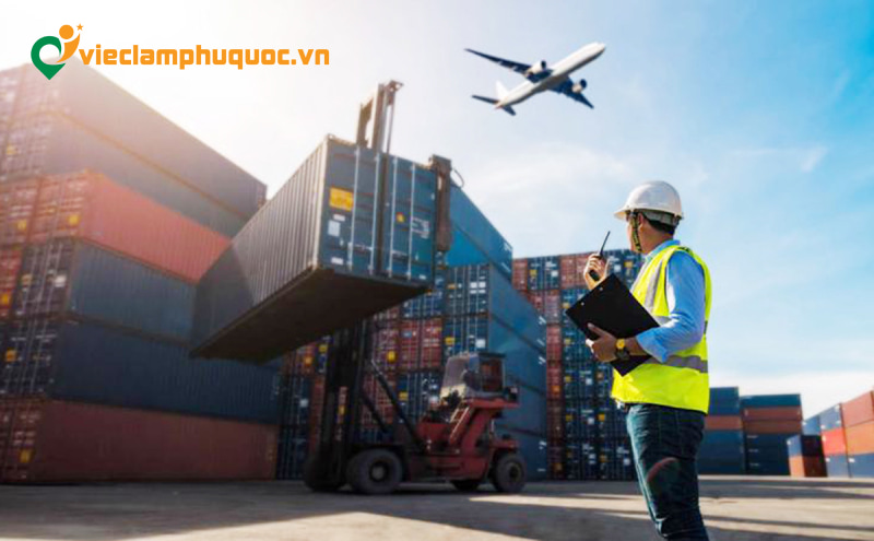 Tư vấn dịch vụ vận chuyển, kho bãi, khai báo hải quan 