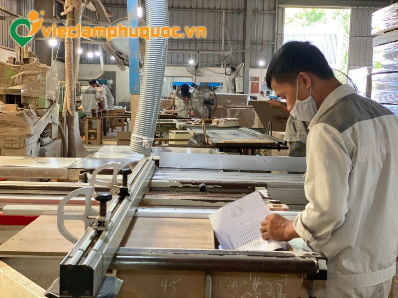 Thị trường việc làm vật tư thu mua tại Phú Quốc