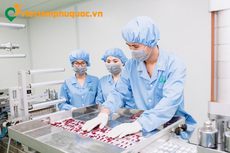 Vị trí việc làm công nghệ thực phẩm Phú Quốc