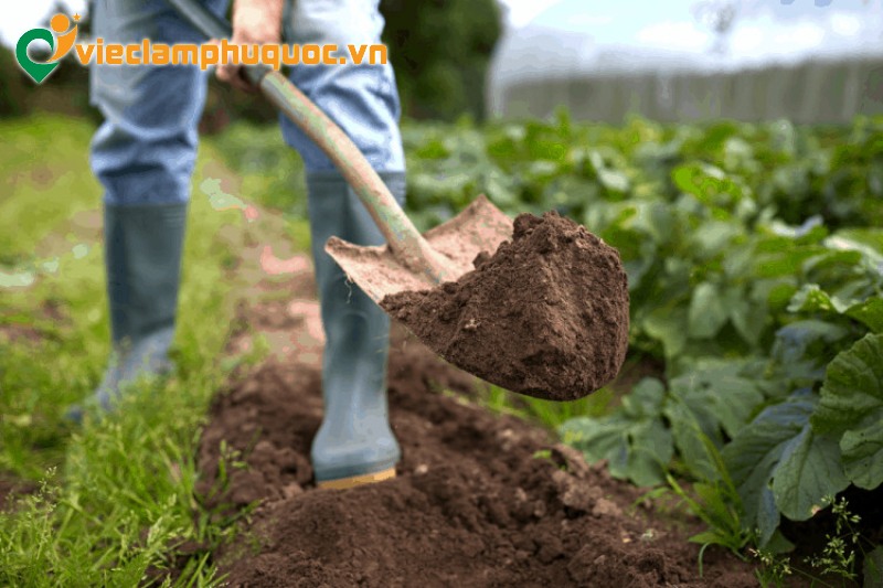 Nếu bạn có thêm kiến thức về nông nghiệp hữu cơ thì cơ hội sẽ rộng hơn