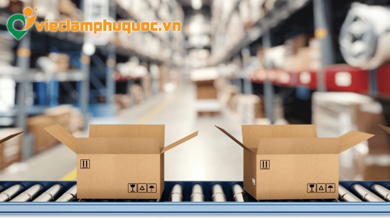 Lương và thu nhập khi làm POD/Dropship tại Phú Quốc