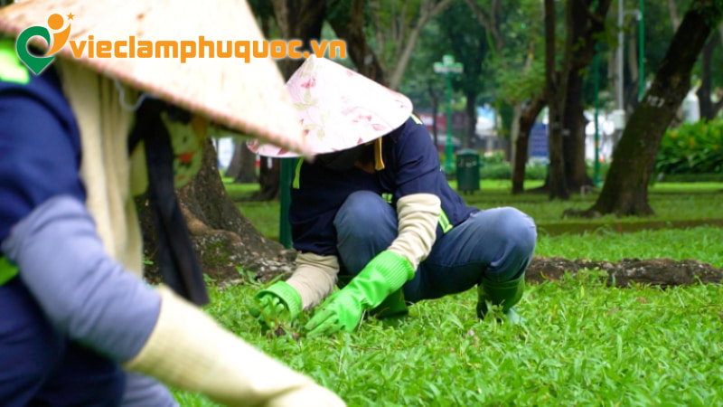 Những lưu ý khi ứng tuyển công việc nông nghiệp 