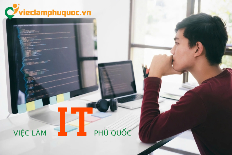 Các vị trí việc làm IT tại Phú Quốc